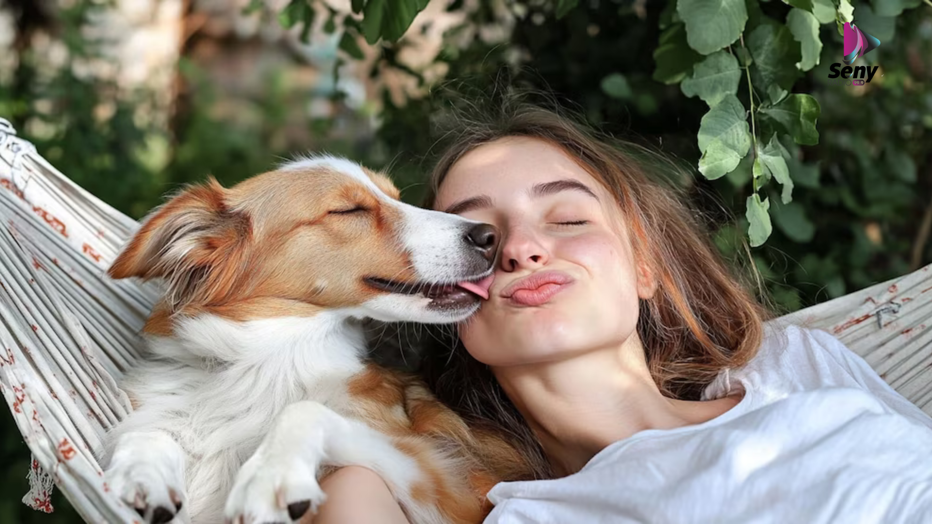 Una educadora canina revela que si tu perro te chupa no es porque te quiera mucho