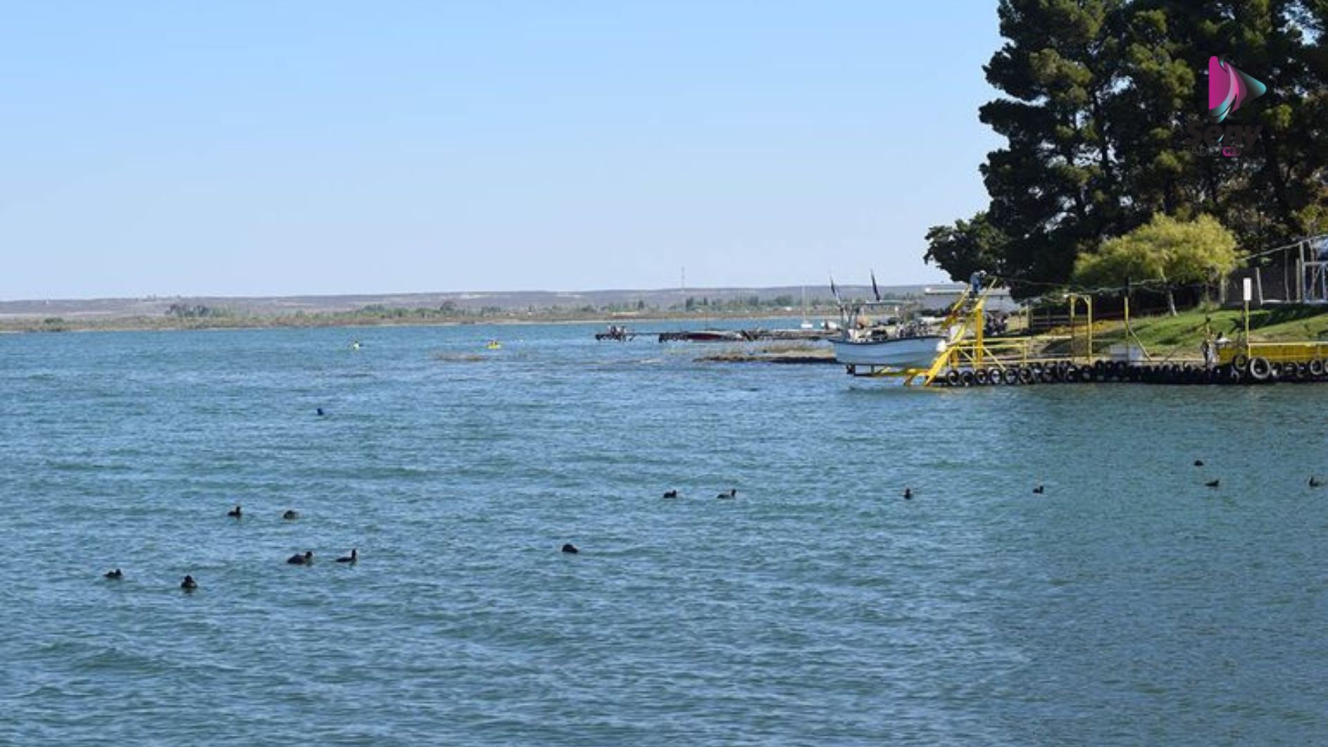 El único lugar habilitado para su pesca comercial en la provincia es el Lago Pellegrini