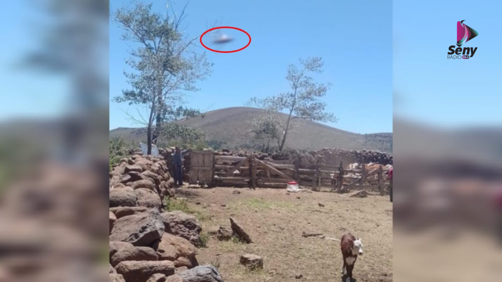 En el lugar su familia tiene animales y ese día tenían que vacunar a las vacas. (Foto: LMNeuquén)